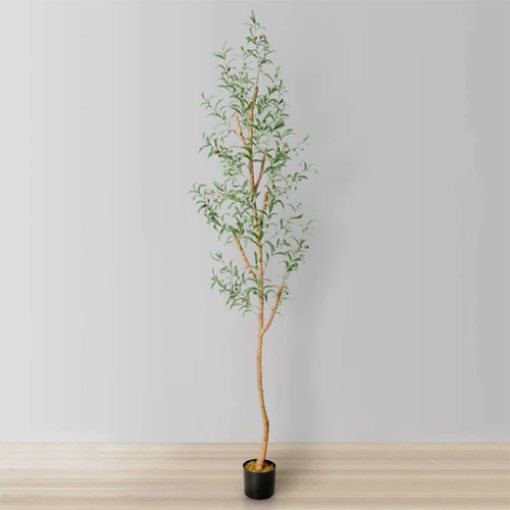Picture of Special Order - Faux Plant for Interior Use, Options Vary